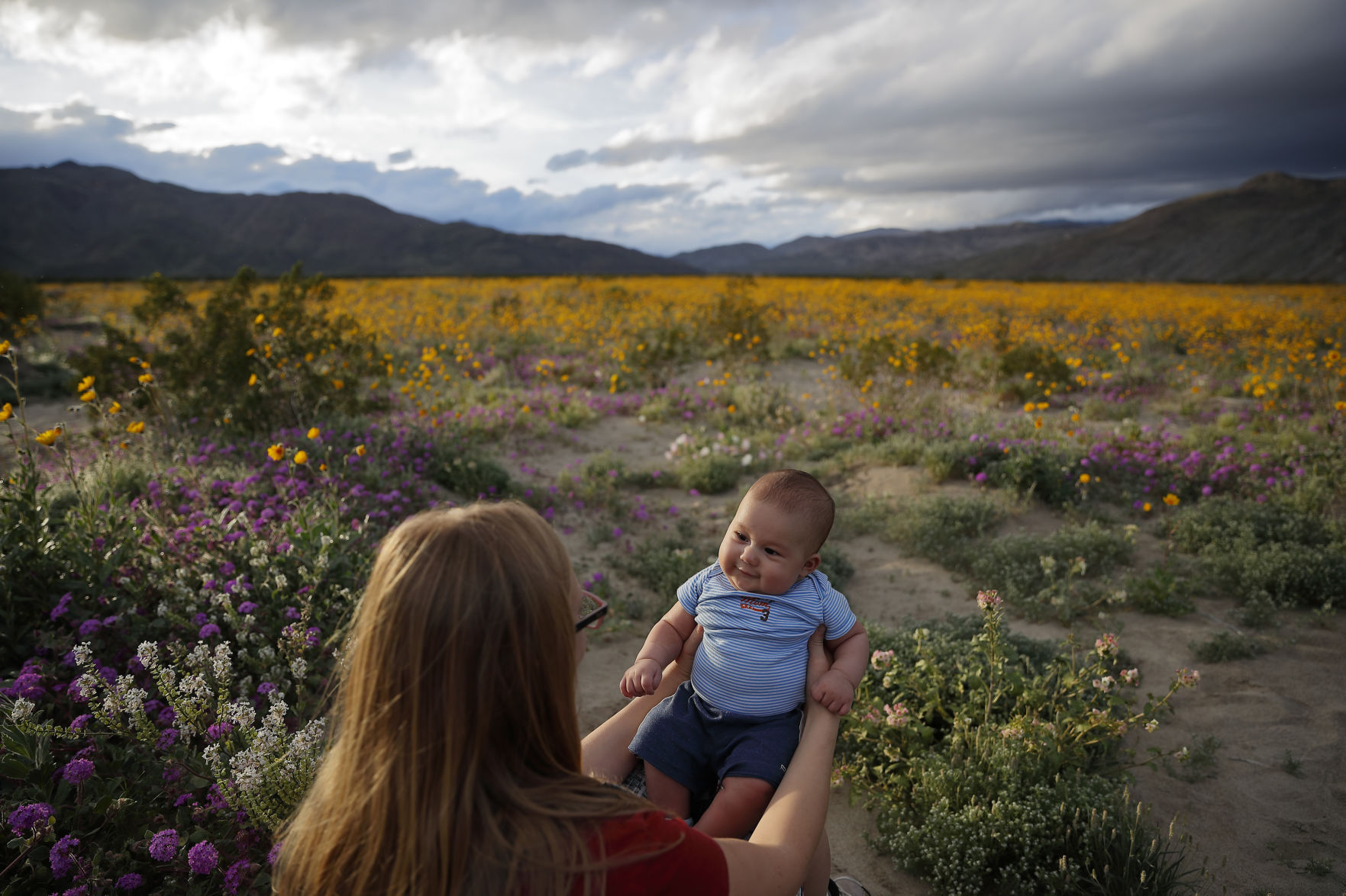 Desert Super Bloom